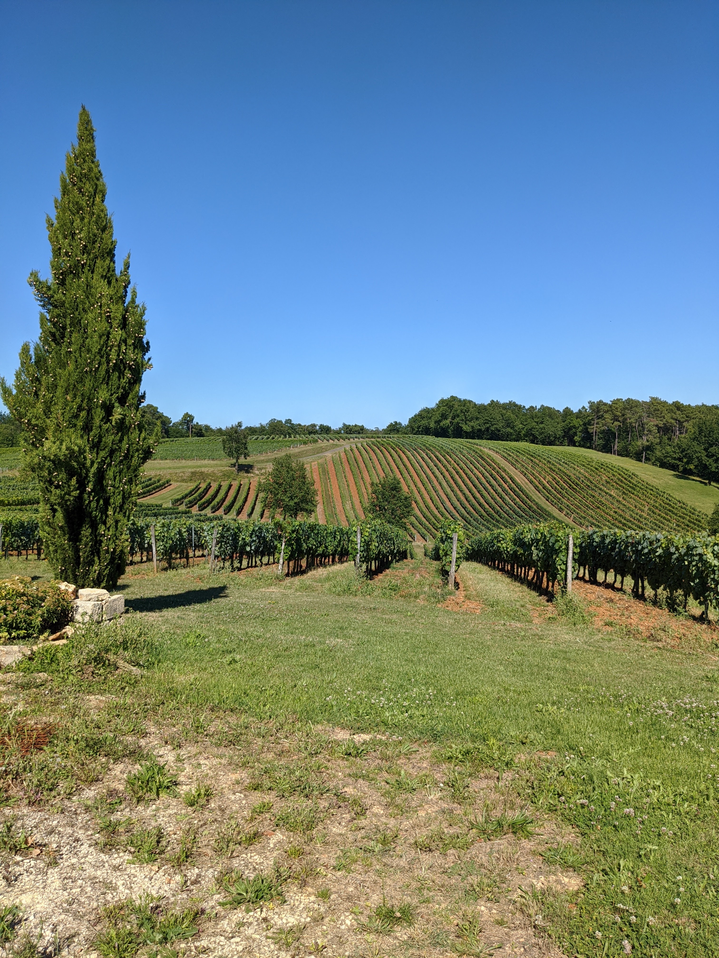 Photo n° 11 de l'avis de Romain.a fait le 08/07/2020 à 20:05