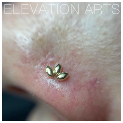 Tattoo Shop «Elevation Arts Tattoo & Piercing Studio», reviews and photos, 2260 S Broadway, Denver, CO 80210, USA