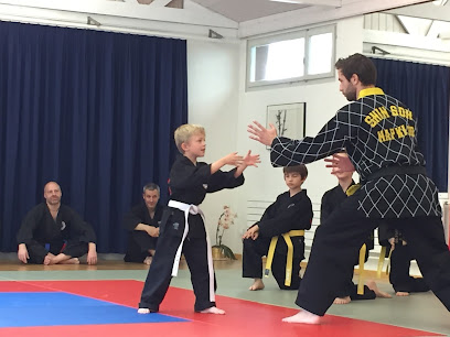 Shinson Hapkido Kampfkunst Schule Luzern