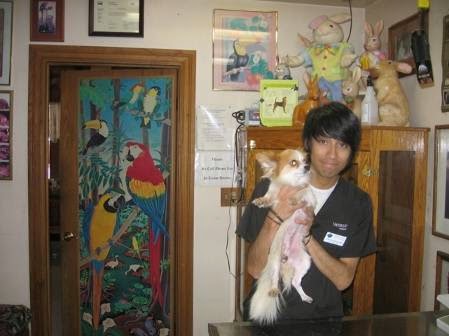 All Creatures Care Cottage image