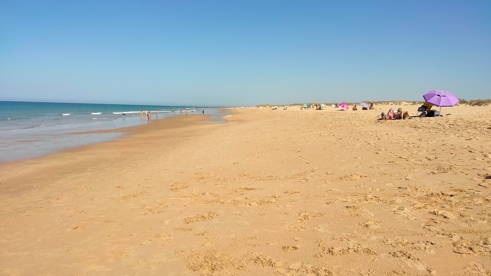 Foto von Playa Mangueta wilde gegend