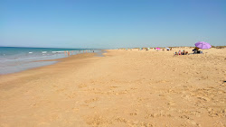 Foto von Playa Mangueta wilde gegend