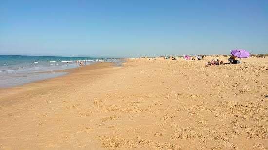 Playa Mangueta