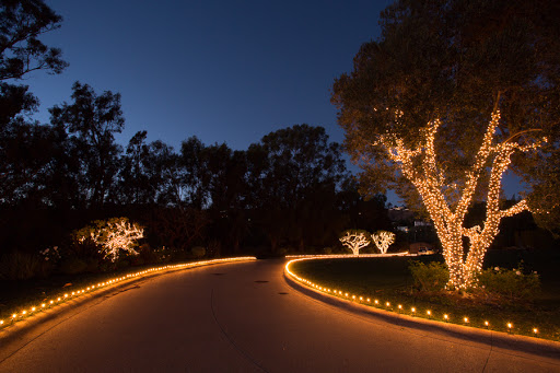 Brite Nites Christmas & Holiday Lighting image