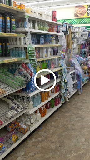 Dollar Store «Dollar Tree», reviews and photos, 1160 Havendale Blvd NW, Winter Haven, FL 33881, USA