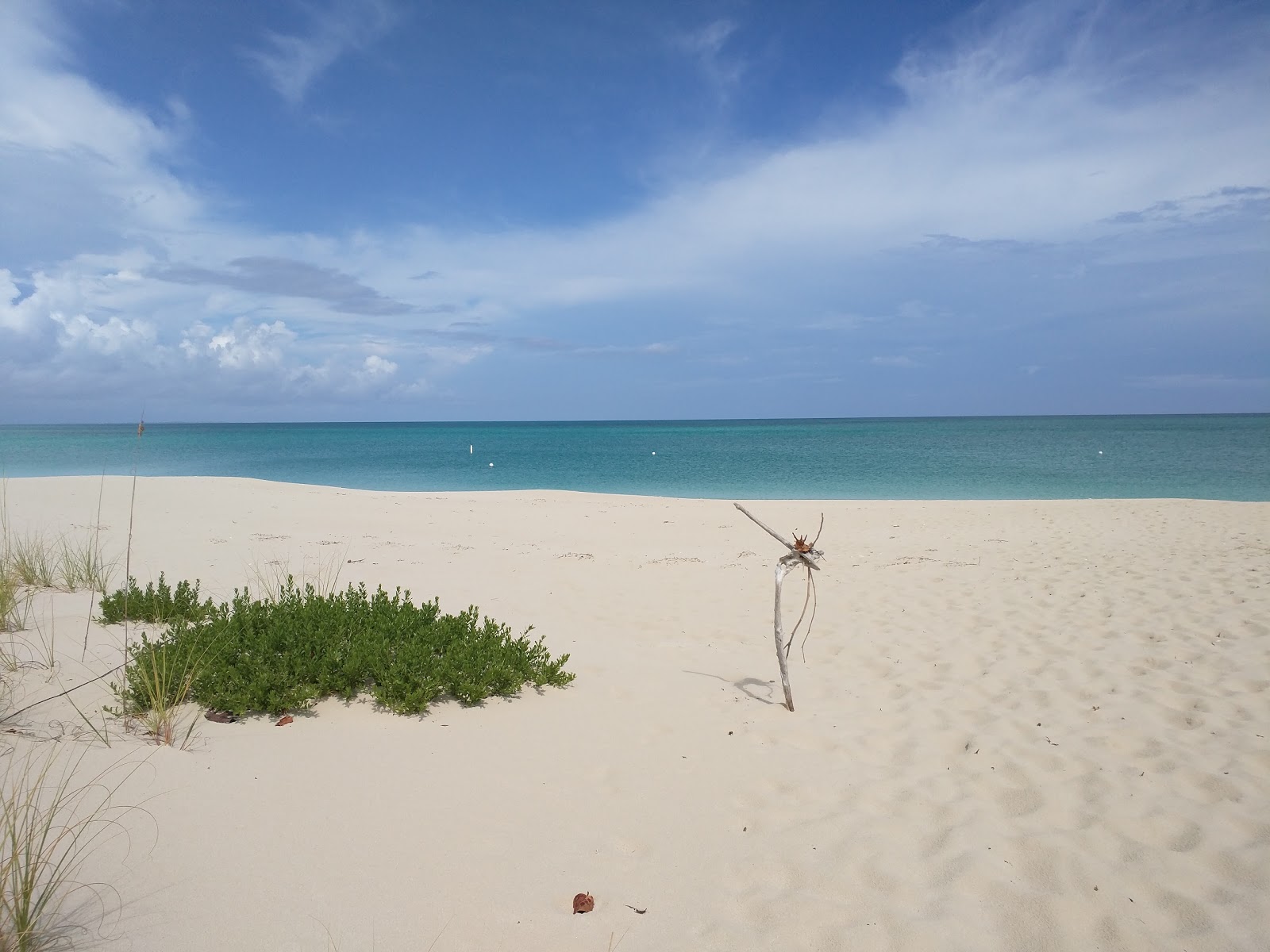 Photo of Pine Cay beach and the settlement