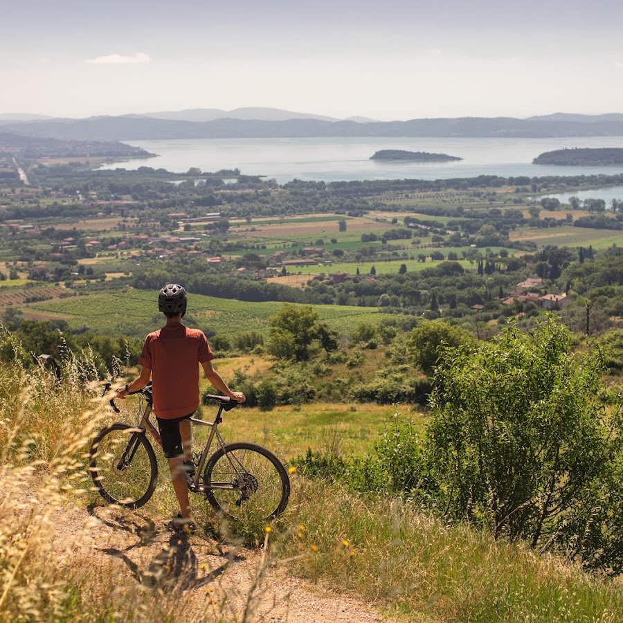 The Wandering Bike - Bike Tours and Rental