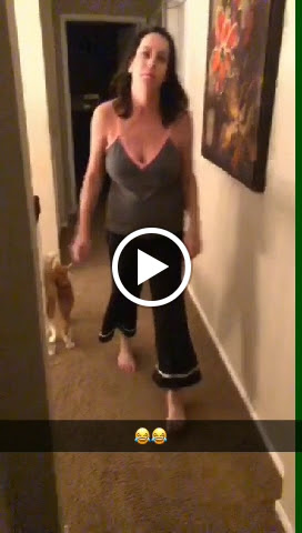 Clothing Store «Hollister Co.», reviews and photos, 14567 SW 5th St, Pembroke Pines, FL 33027, USA