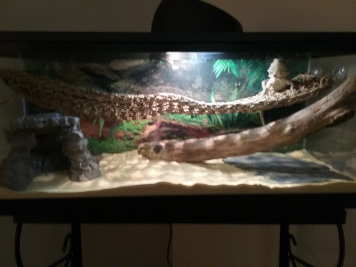 Pet Store «Just Pets», reviews and photos, 393 NY-5, Irving, NY 14081, USA