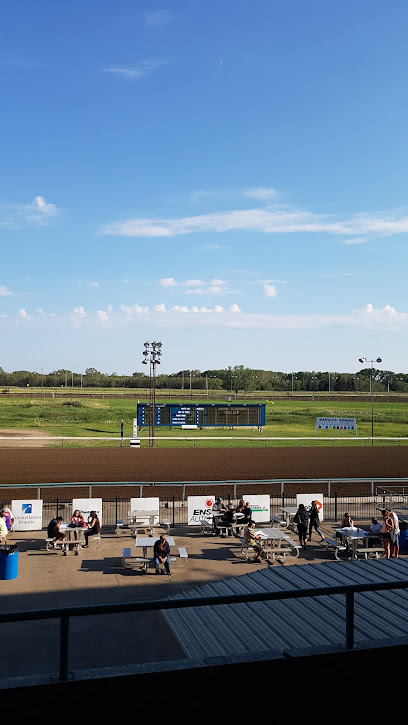 Marquis Downs - Live Thoroughbred Racing