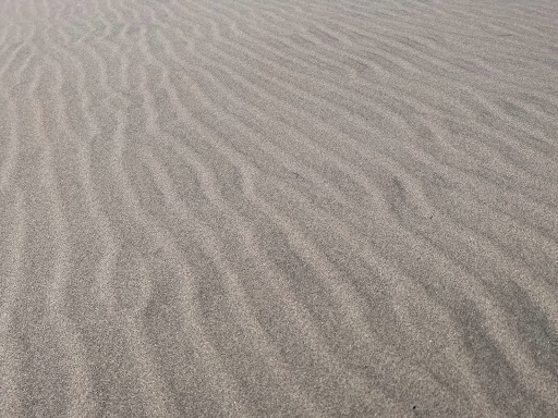 Recreation Center «Sand Master Park - Sandboarding», reviews and photos, 5351 US-101, Florence, OR 97439, USA