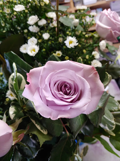 Florist «Pretty Petals Florist», reviews and photos, 6865 S Elati St, Littleton, CO 80120, USA