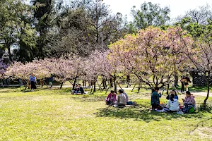 Hsinchu Park image
