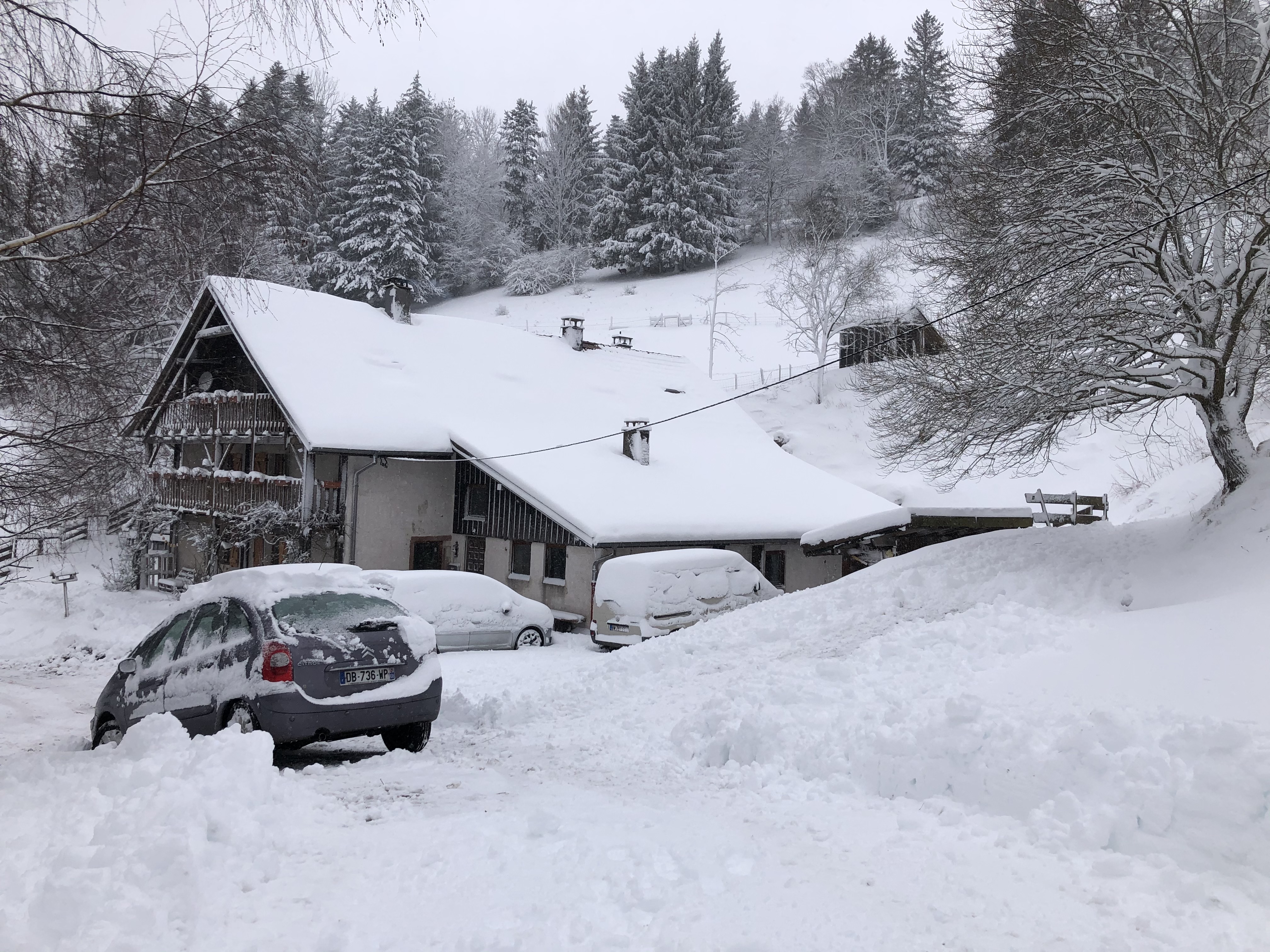 Photo n° 1 de l'avis de Karim.h fait le 29/12/2020 à 21:33