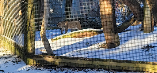 Zoo «Trevor Zoo at Millbrook School», reviews and photos, 282 Millbrook School Rd, Millbrook, NY 12545, USA