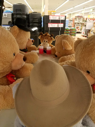 Shopping Mall «Mountview Plaza Shopping Center», reviews and photos, 727 Rubber Ave, Naugatuck, CT 06770, USA