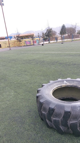 Canchas El Palomar - Campo de fútbol