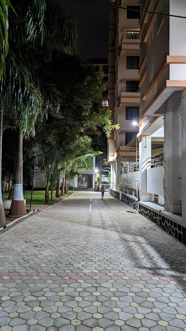 Google Maps image 13