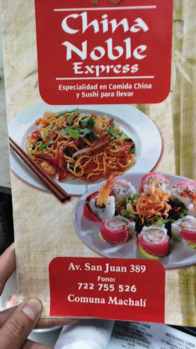 CHINA NOBLE EXPRESS DELIVERY - Machalí