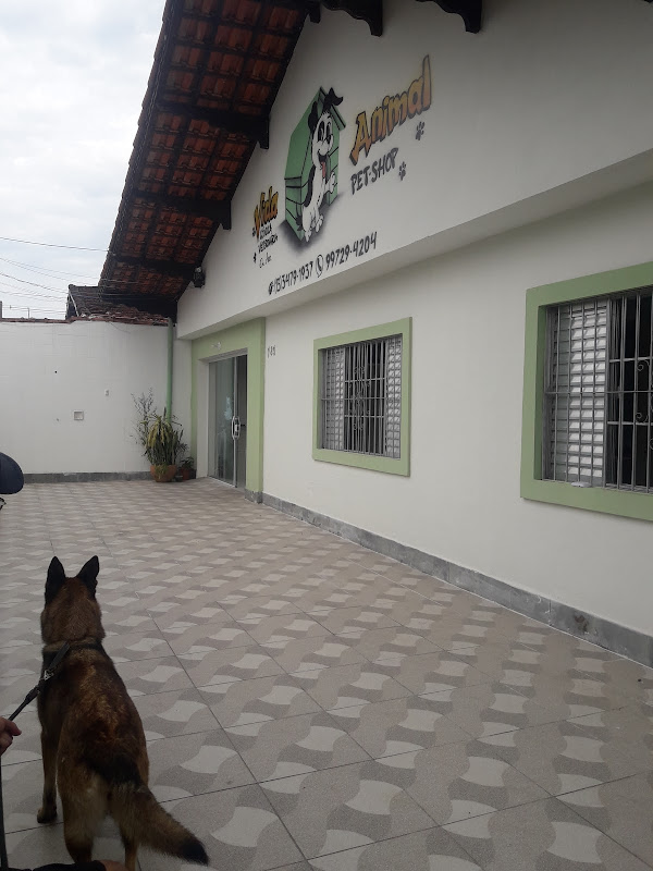 VIDA ANIMAL CLÍNICA Veterinária — O profissional veterinário em Presidente Prudente, SP