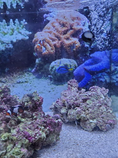 Pet Supply Store «Petco Animal Supplies», reviews and photos, 325 Paul Huff Parkway, Cleveland, TN 37312, USA