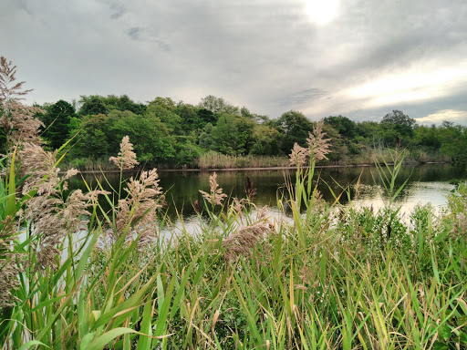 Nature Preserve «Edwin B. Forsythe National Wildlife Refuge- deCamp Wildlife Trail», reviews and photos, 365 Mantoloking Rd, Brick, NJ 08723, USA