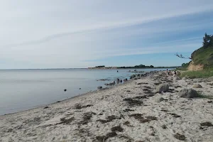 Svinø Strand image