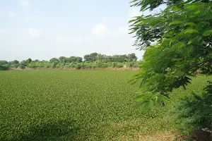 Kathwada Lake image