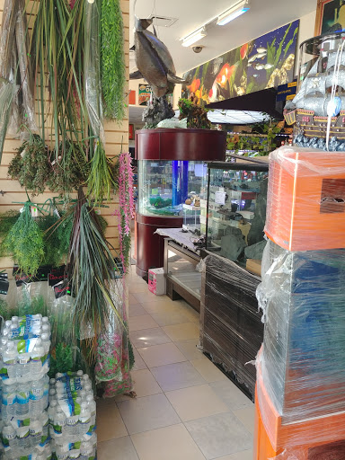 Pet Store «Fish-N-Pets Unlimited», reviews and photos, 11710 Bissonnet St, Houston, TX 77099, USA