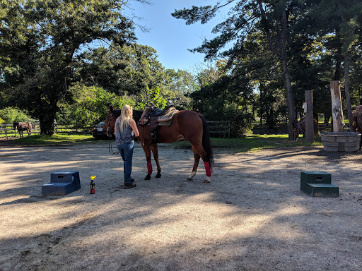 Tourist Attraction «C and L Stables», reviews and photos, 1095 Ives Rd, East Greenwich, RI 02818, USA