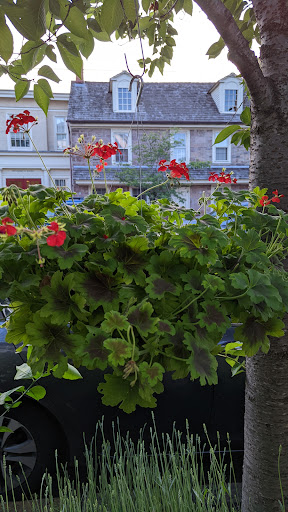 Health Food Store «Grapevine Natural Grocery», reviews and photos, 5 N State St, Newtown, PA 18940, USA