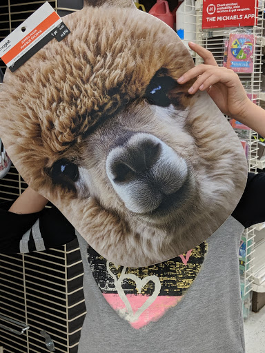 Craft Store «Michaels», reviews and photos, 100-B Independent Way, Brewster, NY 10509, USA