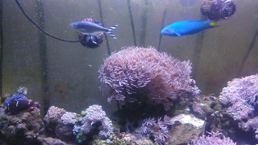 Used Auto Parts Store «Arite Used Auto Parts», reviews and photos, 116 Christian Ln, New Britain, CT 06051, USA