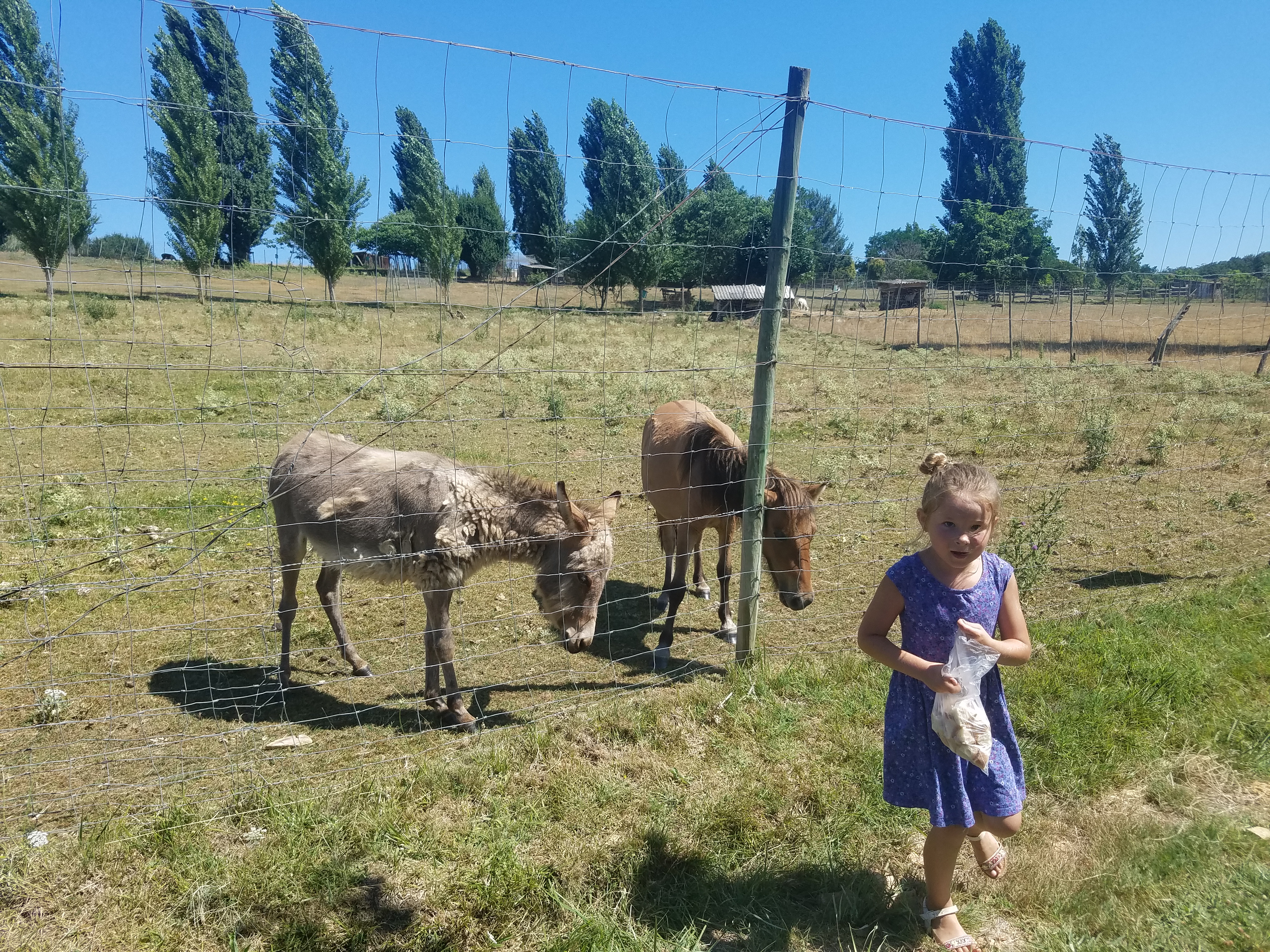 Photo n° 3 de l'avis de Jenny.o fait le 03/08/2018 à 15:13