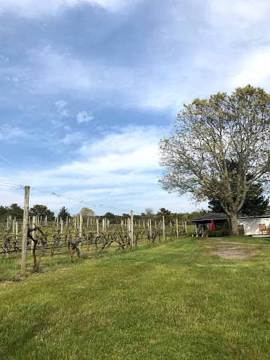 Winery «Truro Vineyards + South Hollow Spirits», reviews and photos, 11 Shore Rd, North Truro, MA 02652, USA
