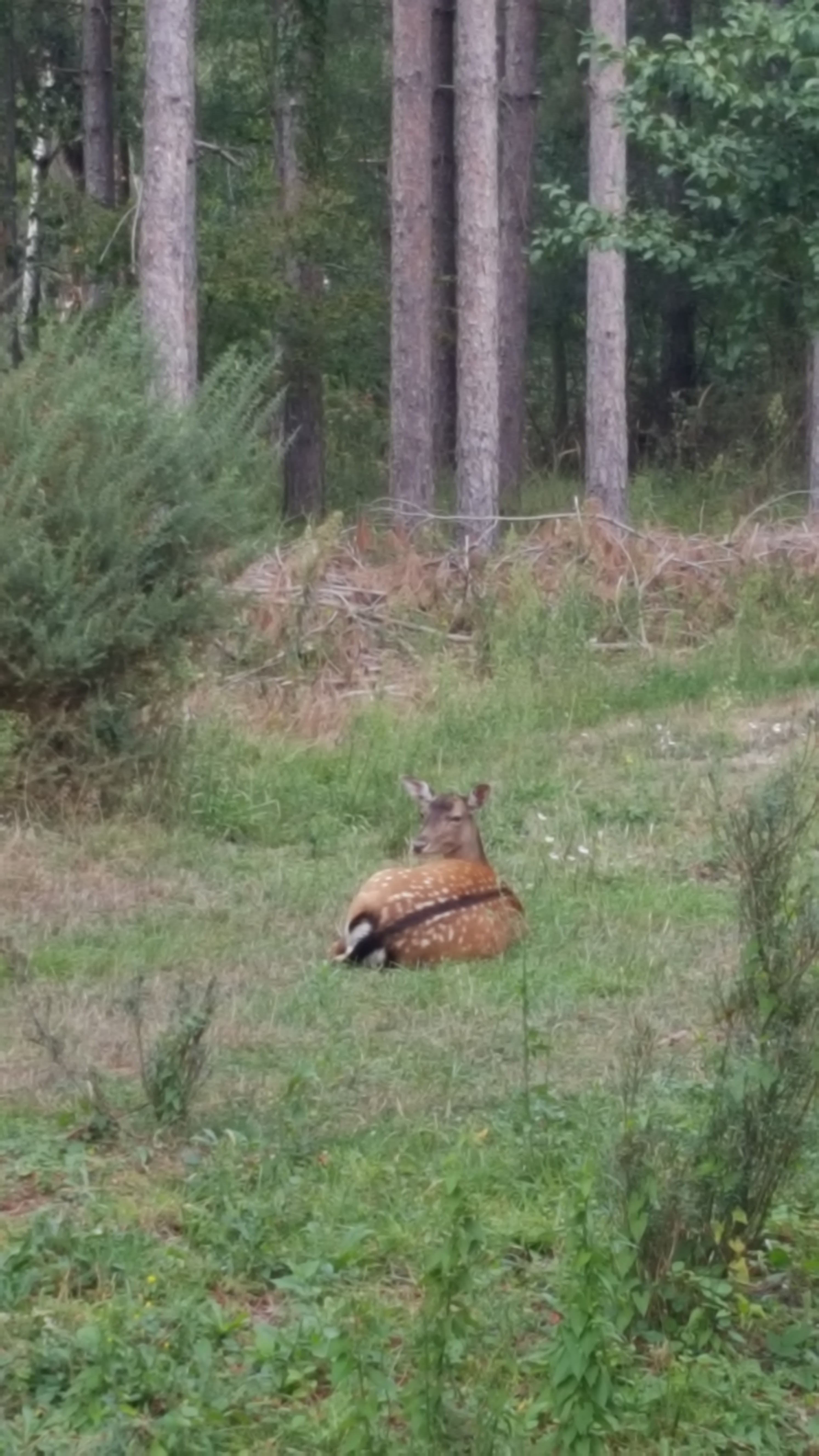 Photo n° 23 de l'avis de Saskia.u fait le 06/09/2019 à 18:55