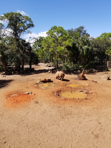 Zoo «Brevard Zoo», reviews and photos, 8225 N Wickham Rd, Melbourne, FL 32940, USA