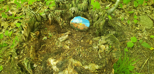 Tourist Attraction «Black Ledge Falls», reviews and photos, Hebron Ave, Glastonbury, CT 06033, USA