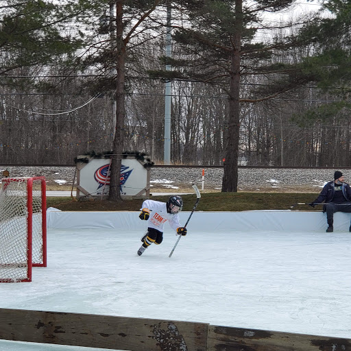 Mickey's Ice Arena