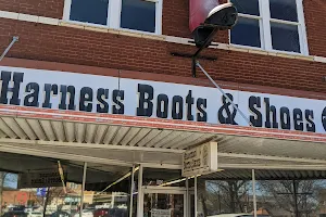 Harness Boots & Shoes image