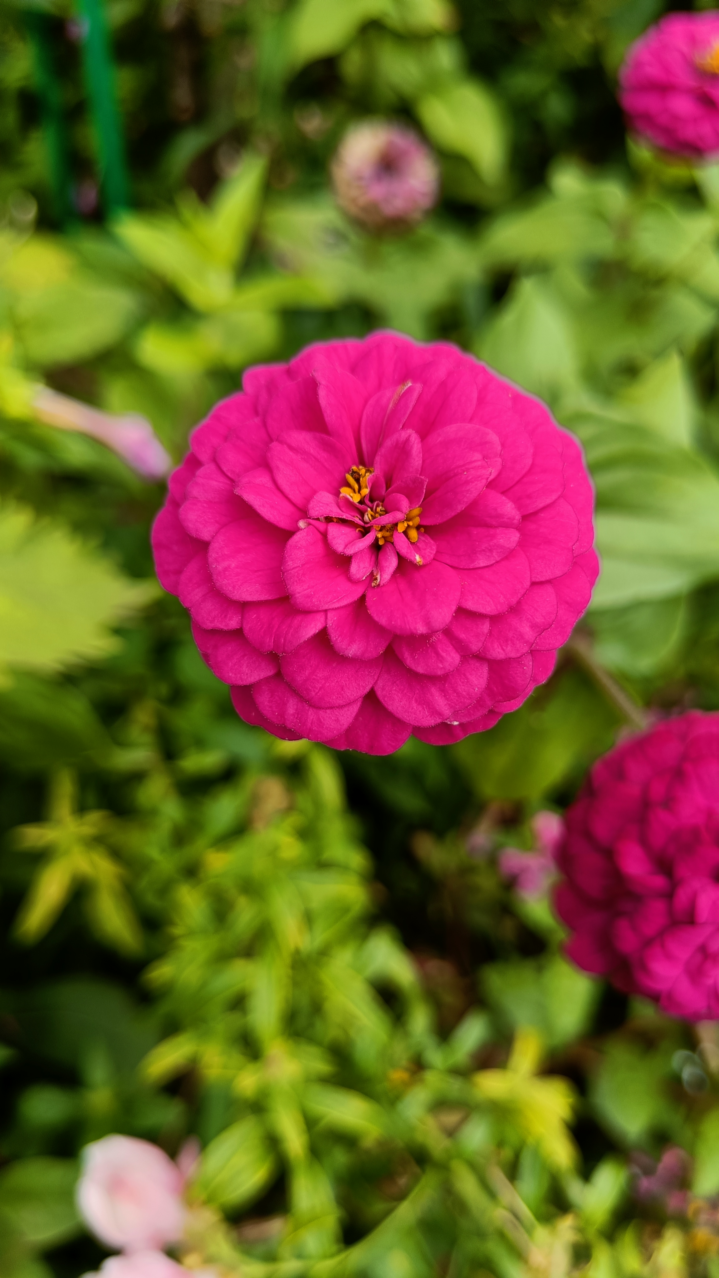 Photo n° 24 de l'avis de Eliot.o fait le 28/07/2023 à 16:35