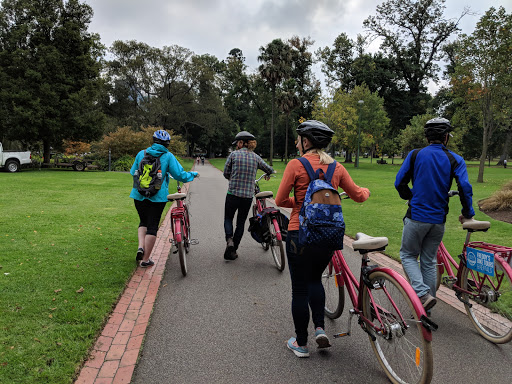 Bicycle Tours Melbourne