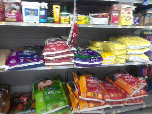 Department Store «Walmart Supercenter», reviews and photos, 2453 2nd Ave E, Oneonta, AL 35121, USA