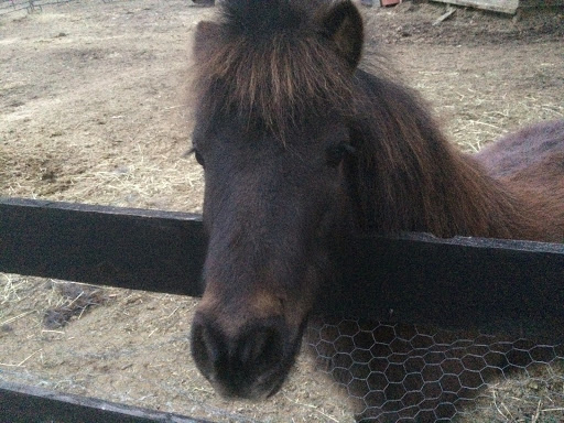 Gift Shop «Impressions of Saratoga», reviews and photos, 368 Broadway, Saratoga Springs, NY 12866, USA