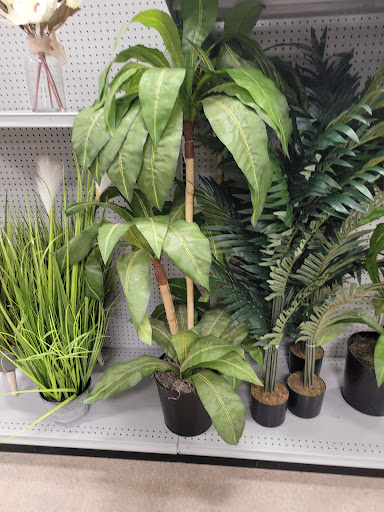 Shopping Mall «The Shops At Ledgewood Commons», reviews and photos, 461 NJ-10, Ledgewood, NJ 07852, USA