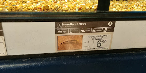 Pet Supply Store «Petco Animal Supplies», reviews and photos, 6181 Old Dobbin Ln #800, Columbia, MD 21045, USA