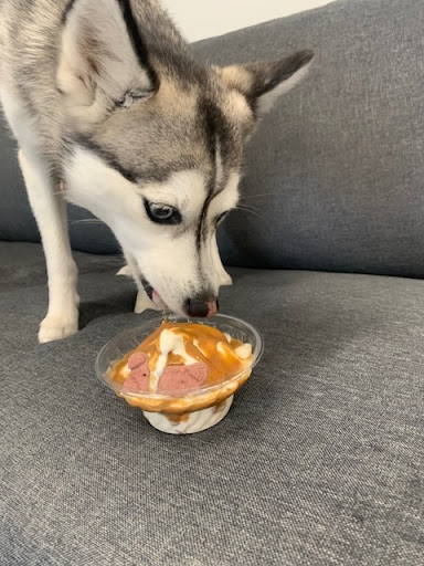 Insurance Agency «State Farm: Jeff Burtis», reviews and photos