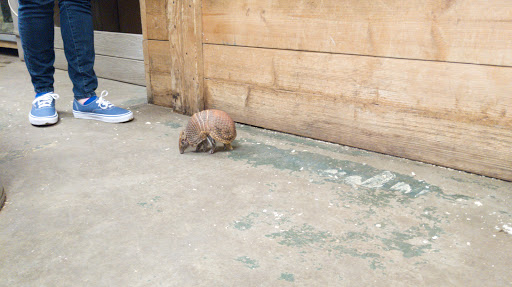 Animal Shelter «Animal Adventures Family Zoo & Rescue Center», reviews and photos, 336 Sugar Rd, Bolton, MA 01740, USA
