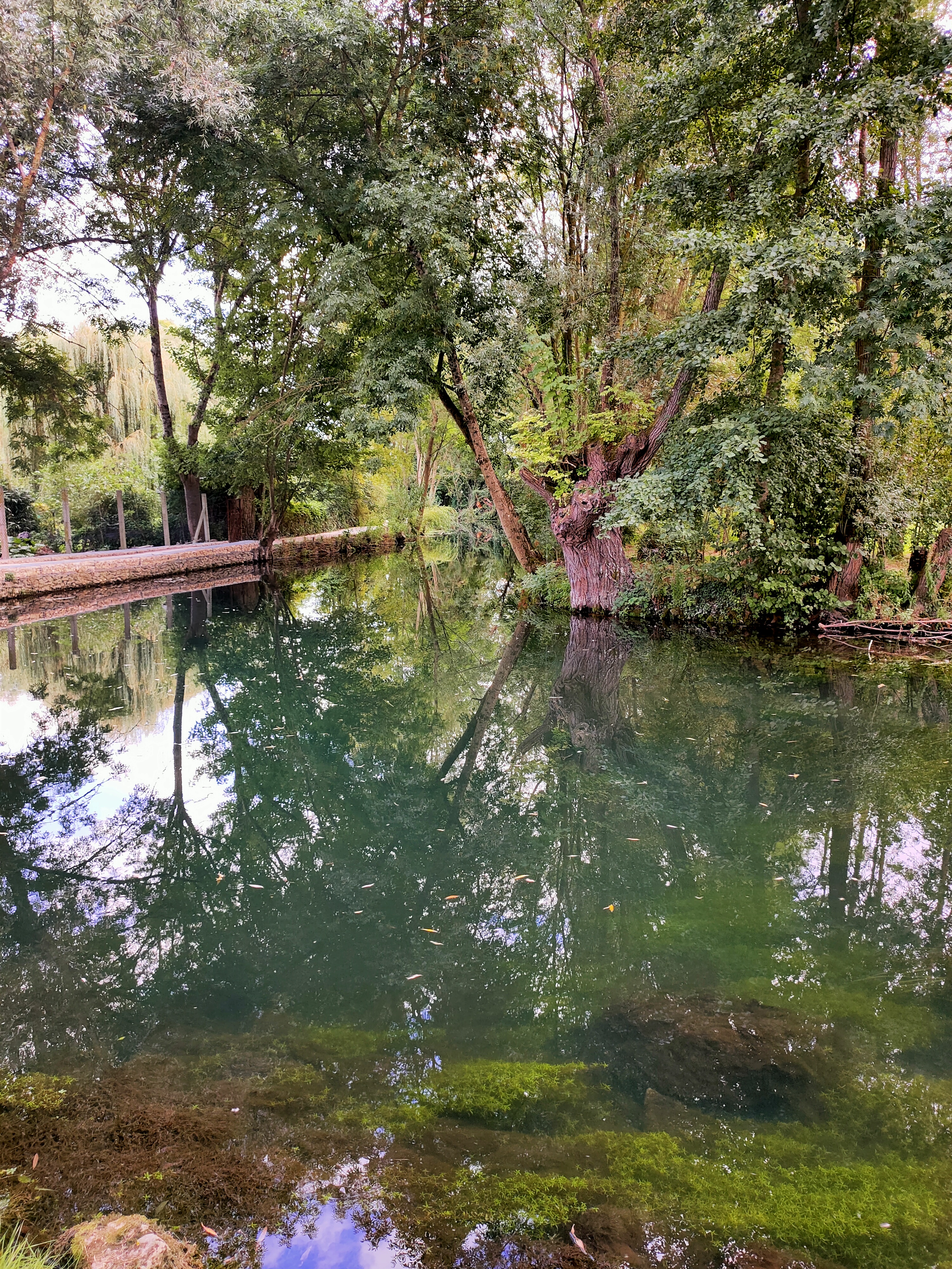 Photo n° 1 de l'avis de Yvelise.I fait le 05/09/2021 à 17:47