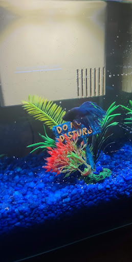 Pet Supply Store «PetSmart», reviews and photos, 4429 Pecanland Mall Dr, Monroe, LA 71203, USA